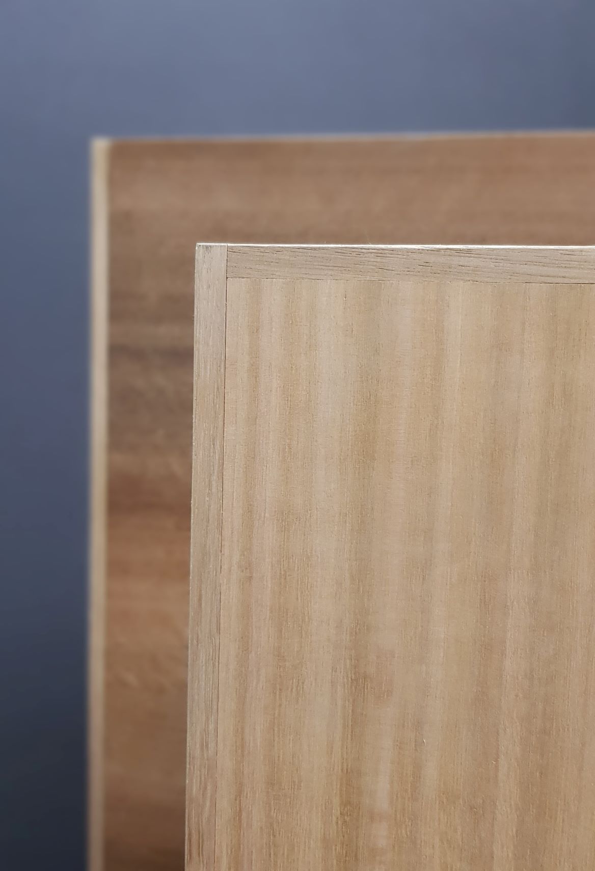 Veneer & Laminate Finish Doors